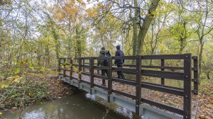 Foot bridge